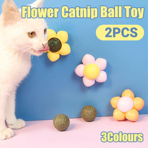 Catnip Ball Cat Toy Self-Hi Tooth Cleaning Rotating Mint Ball Toy Flower Catnip Ball