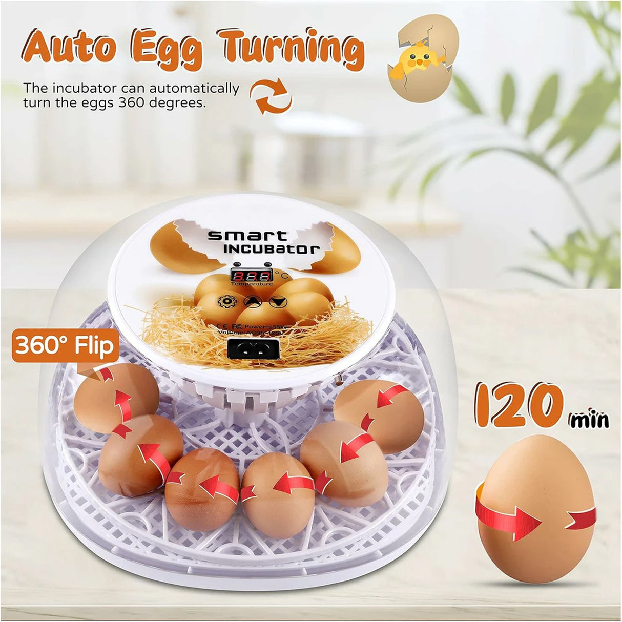 Automatic Small Egg Incubator for Chicken Pigeon