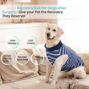 Dog Recovery Suit for Post-Surgery Breathable & Comfortable (S-XXL)