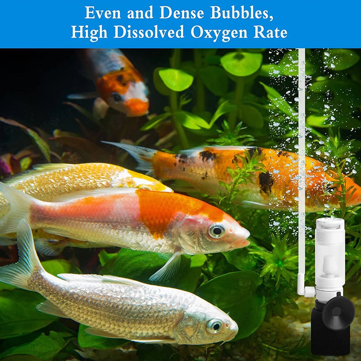 Compact Mini Internal Fish Tank Filter - Pneumatic Water Filter