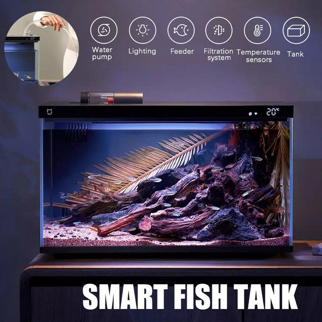 Smart fish tank with remote control feeding