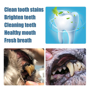 Teeth Brightening Pen for Dog Teeth Cleaning & Tartar Removal