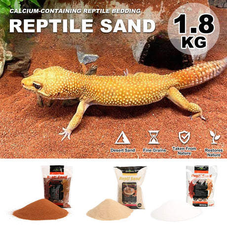 Reptile Sand Climbing Mat Pet Feeding Box Terrarium Landscaping Accessories