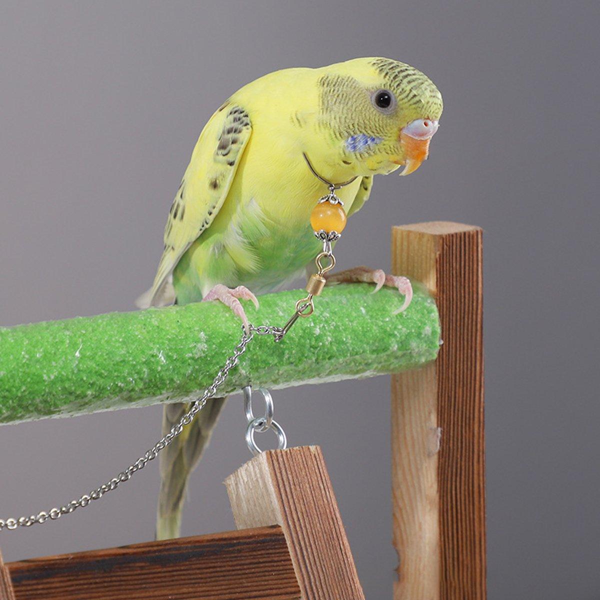 Adjustable Parrot Collar with Opal Necklace and Stainless Steel Chain