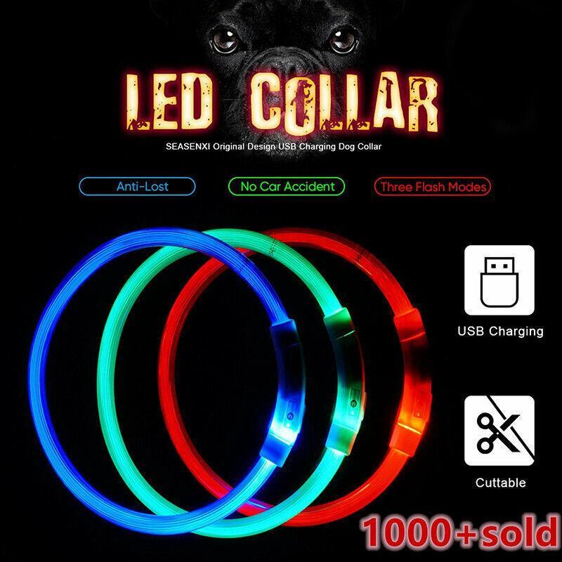 USB Rechargeable Light Up LED Dog Collar for Night Safety AU