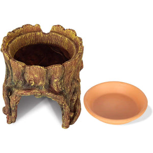 Reptile Hideaway Cave with Humidity Dish for Geckos & Small Reptiles