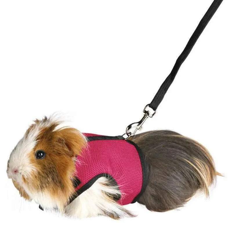 Small Animal Harness Guinea Pig Forret Hamster Rabbit Squirrel Vest Clothes Lead