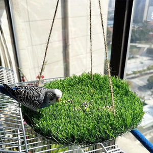 Pet Turf Hammock Ideal for Parrots Hamsters & Squirrels