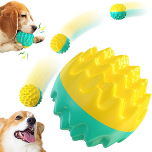 Pet Chew Toy Balls