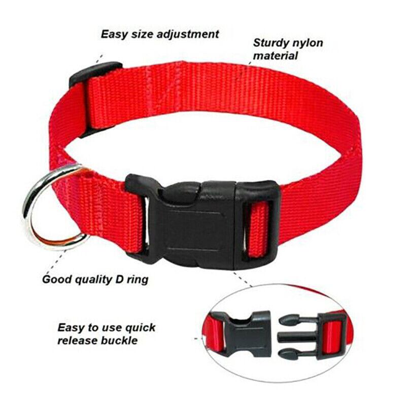 Nylon Pet Dog Collars Adjustable Safety Comfort Lightweight Fit Puppy Durable