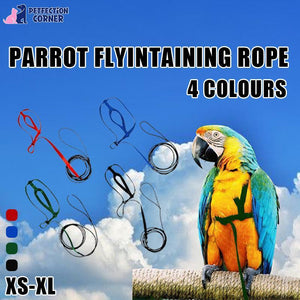 Pet Parrot Bird Harness & Lead Leash