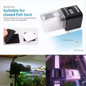 Automatic Fish Feeder Intelligent Control