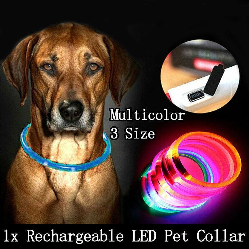 USB Rechargeable LED Dog Collar Night Glow Flashing Light Up Safety Pet Collars