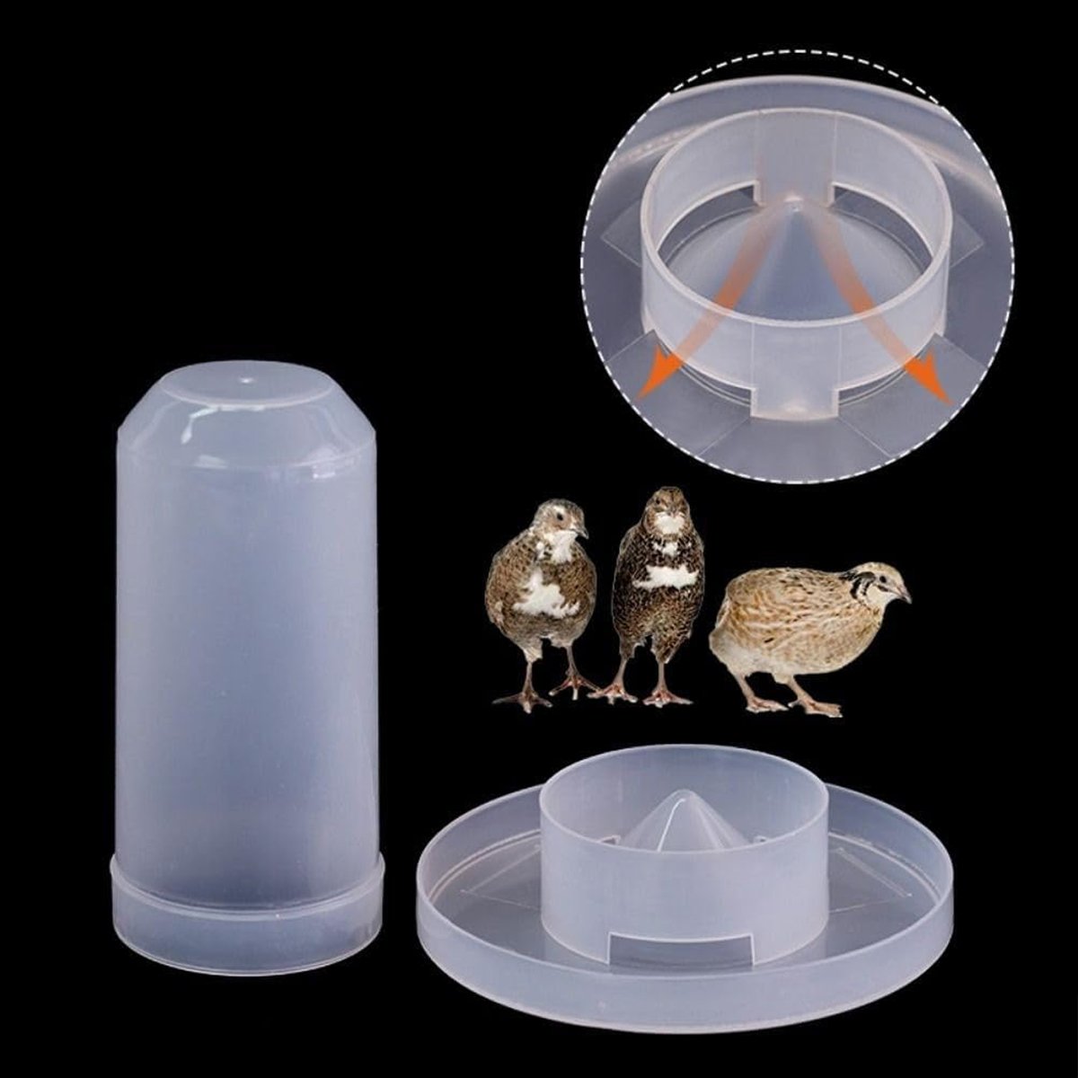 Automatic Bird Feeder Chicken Pigeon Parrot Drinker Water Dispenser Feeder