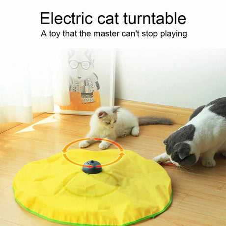 Interactive Cat Toy with Moving Mouse for Engaging Play