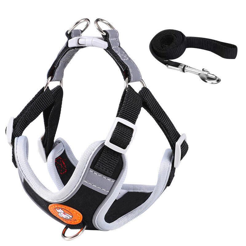 Dog Harness Cat Lead Puppy Leash Vest Mesh Breathe Adjustable Braces Small Pet