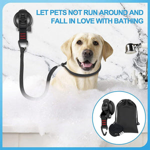 Pet Bath Holder with Suction Cup and Grooming Table Lanyard