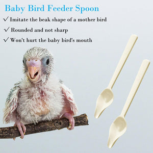 Parrot Feeding Spoon - Baby Bird Feeder Spoon 5PCS