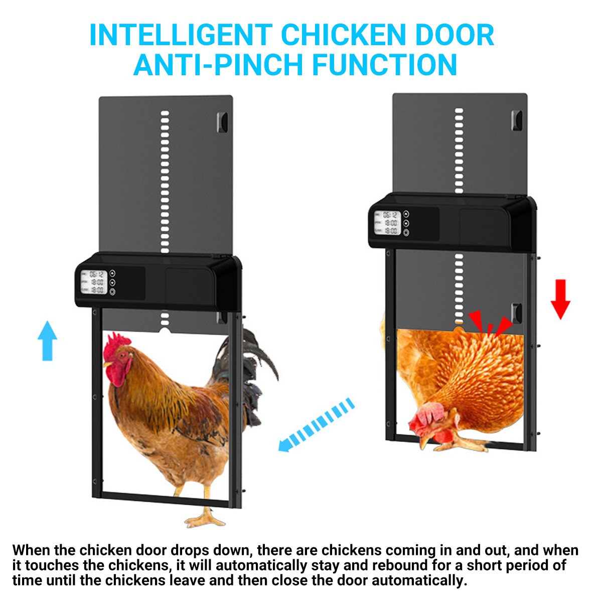 Weatherproof Automatic Stainless Steel Chicken Coop Door