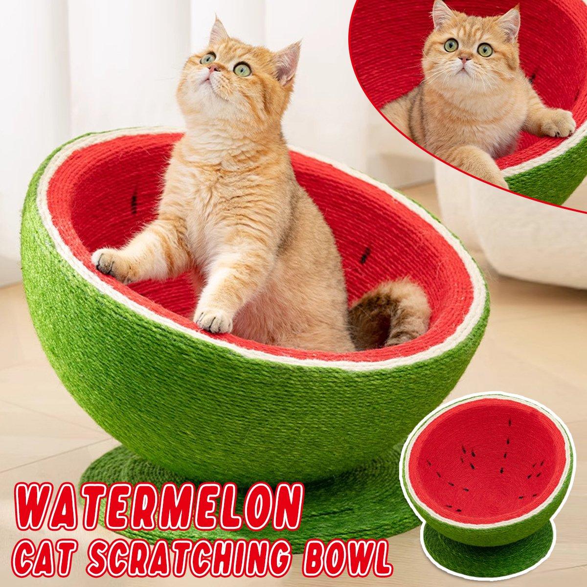 Watermelon Cat Scratching Pot Board Scratcher Toy for Cats Kitten