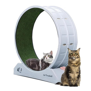 Premium Cat Treadmill Wheel Safe and Silent Cat Exercise Wheel