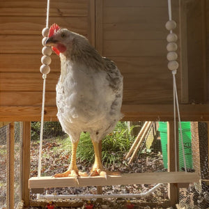 Durable Wooden Chicken Swing  Adjustable Rope & Handmade Beads