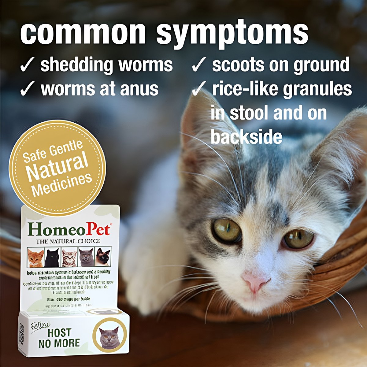 HomeoPet Feline Host No More Pest Control