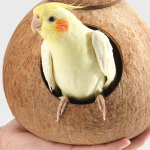 Natural Coconut Shell Bird Nest Safe & Cozy Bird House