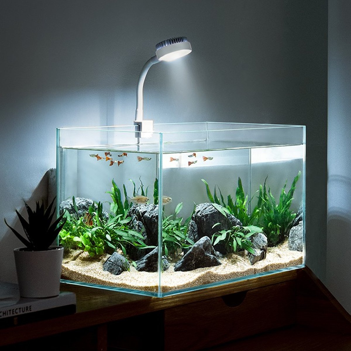 Efficient Aquarium Lights for Plants Ideal for Desktop Fish Tanks