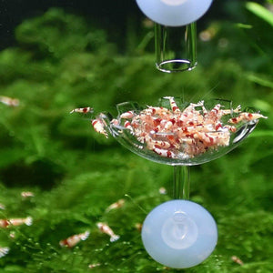 Aquarium Fish Tank Shrimp Food Feeder Clear Glass Feeding Dish Fish Tank Feeder