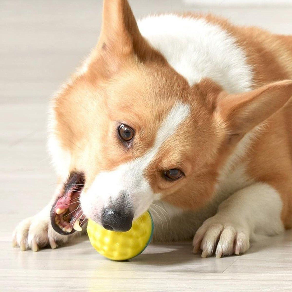 Pet Chew Toy Balls