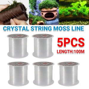 Transparent Aquarium Moss Binding Line 5pcs Crystal Fishing Line for Plant Tank