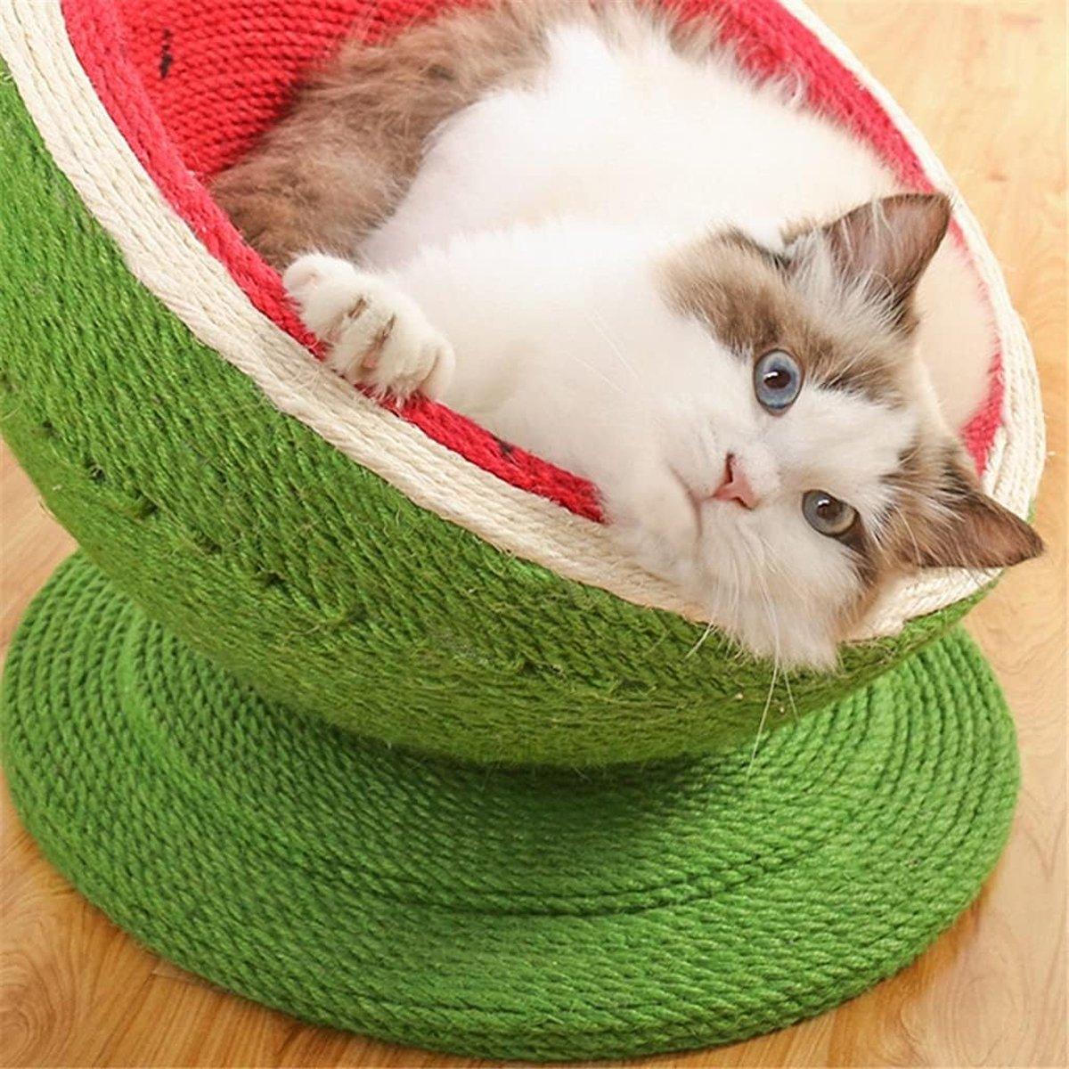 Watermelon Cat Scratching Pot Board Scratcher Toy for Cats Kitten