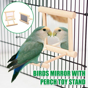 Bird Mirror with Perch 2-in-1 Toy Stand for Small to Medium Birds