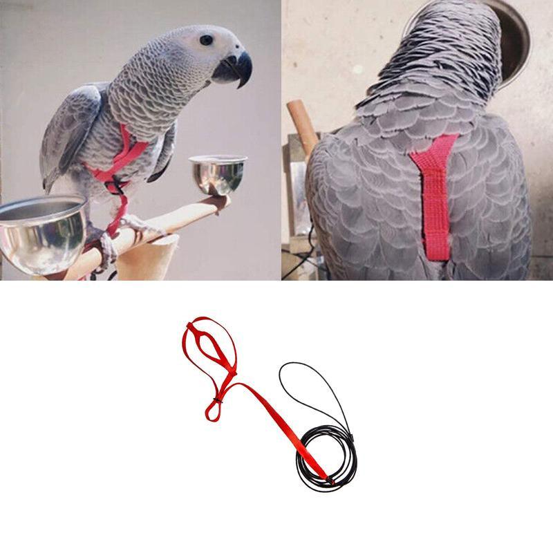 Pet Parrot Bird Harness & Lead Leash