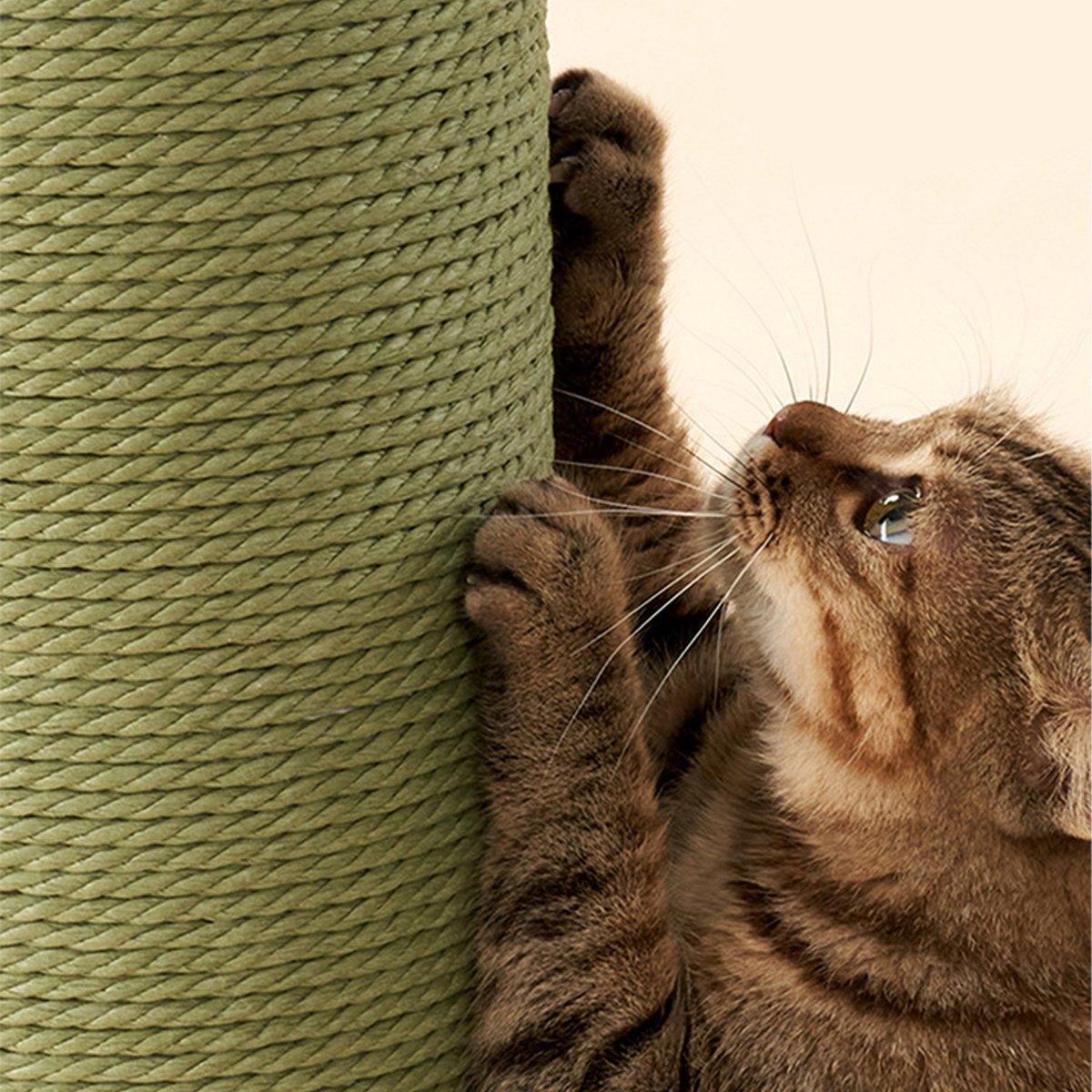 Makesure Nino Cat Scratching Post