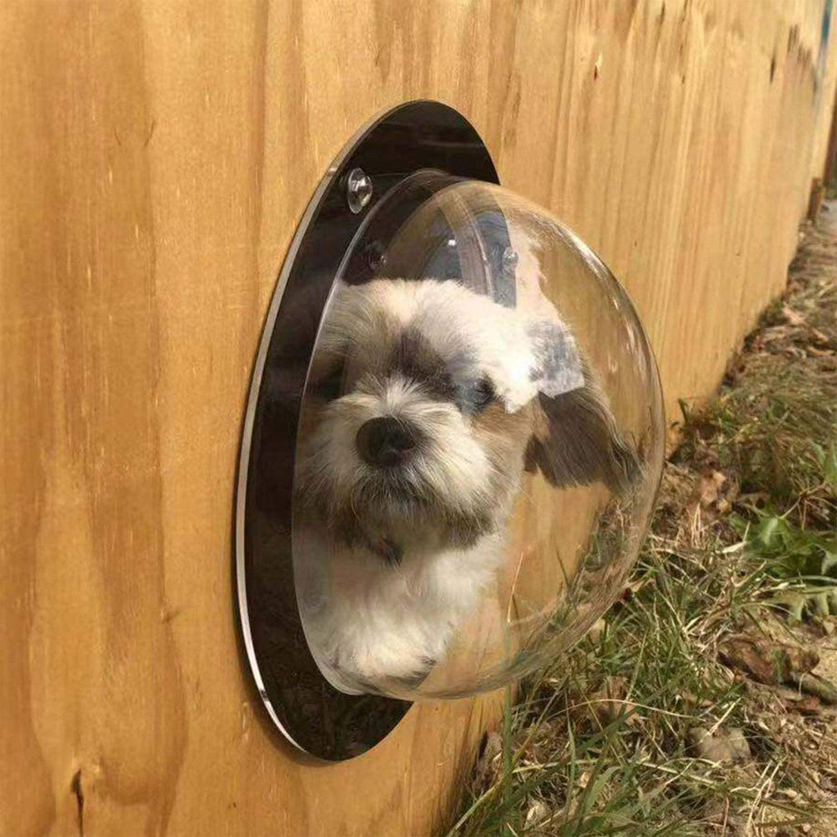 Acrylic Dog Window Semi-round Cover Pet Fence