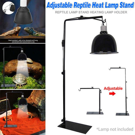 Adjustable Reptile Light Stand