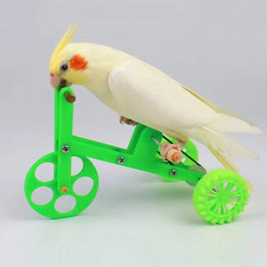 Parrot Training Bicycle Toy for Small & Medium Birds