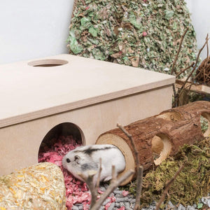 Premium Solid Wood Hamster Tunnel - Natural and Durable Chew Toy