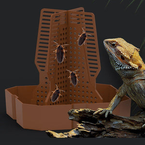 Reptile Feeding Basin with Anti-Escape Design