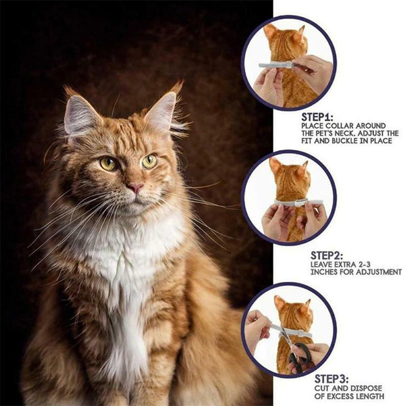 Durable Flea and Tick Collar for Cats & Dogs