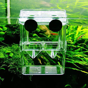 Fish Breeding Box for Aquarium with transparent acrylic design, ideal for isolating and rearing juvenile fish.