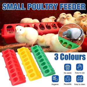 30cm Plastic Chick Birds Pigeons Feeder 3 Colours