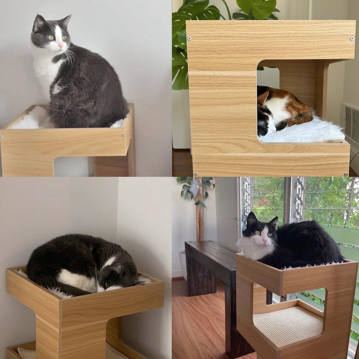 Cat Climbing Rack and Nest Solid Wood with Double-Layer Bed & Vertical Jumper