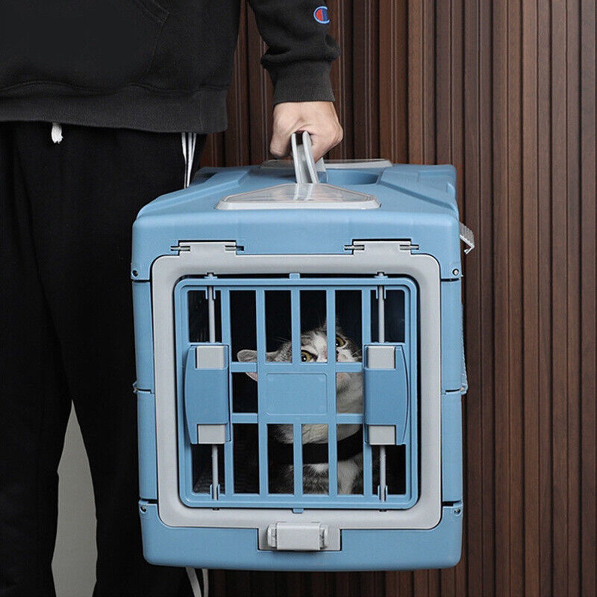 Pet Air Box Folding Portable Cat Crate Removable Dog Consignment Box Space Capsule