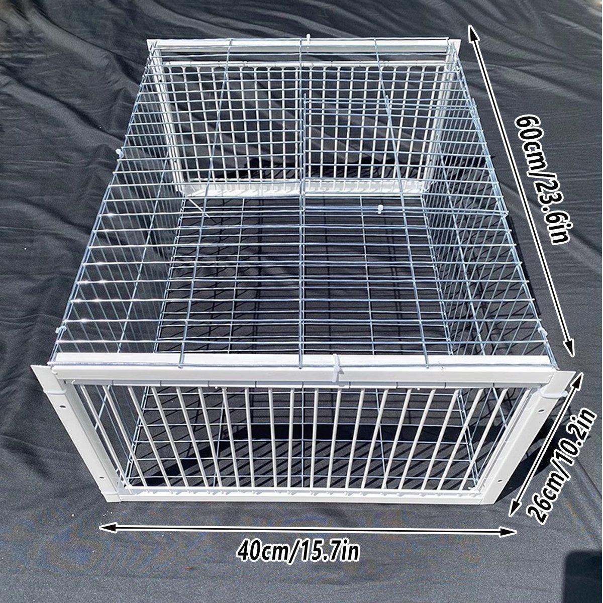 Premium Pigeon Cage with Secure Encrypted Spacing