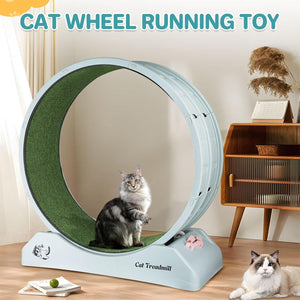 Premium Cat Treadmill Wheel Safe and Silent Cat Exercise Wheel