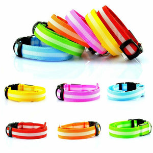 USB Rechargeable Light Up Dog Collar Glow in the Dark Safety for Night Walks