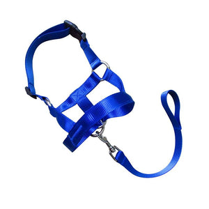 Dog Training Head Collar Halter Stop Pulling Training Tool Harness